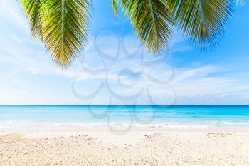 Tropical beach background, white sand, azure water and palm tree branches over blue sky.  Caribbean Sea coast, Dominican republic, Saona island