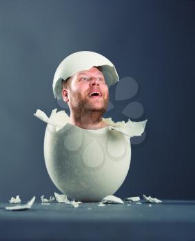 Close-up picture of broken egg with head isolated on gray background