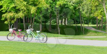 Two bicycles standing on the road in the park