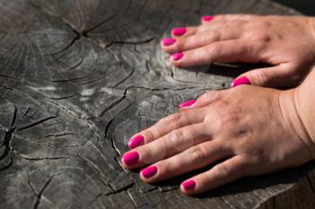 Woman hand on old cracked stump