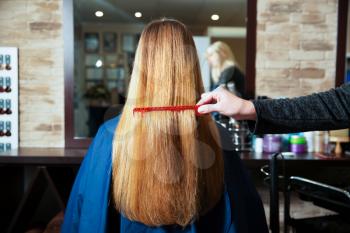 Hairdresser combs long hair of young woman in hairdressing salon.