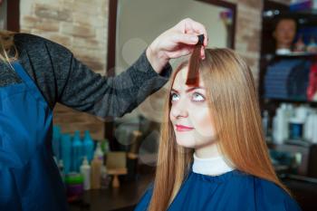 Barber shows to the girl the chosen hair color before highlighting. Hairdressing salon.