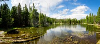 Flora and fauna of Rocky Mountain National Park, Colorado USA