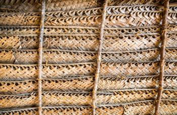 Natural wicker fence or wall, Ceylon. Handcraft texture, building material in Sri Lanka