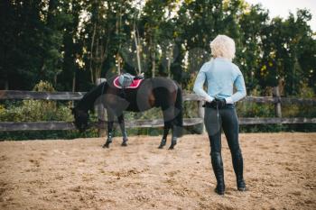 Female rider trains her horse, horseback riding. Equestrian sport, young woman and beautiful stallion
