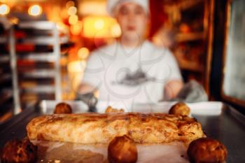 Male chef holds metal baking sheet with fresh cooked classical apple strudel, bakery cooking. Homemade sweet dessert
