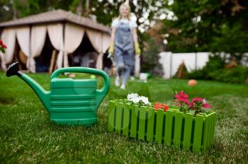 Watering can in the garden, woman in apron and gloves on background. Female gardener takes care of plants outdoor, gardening hobby, florist lifestyle and leisure