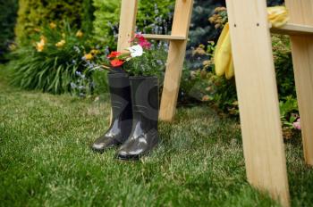 Gardening tools, flowers in rubber boots at wooden stairs, nobody. Gardener or florist equipment, summer hobby, garden