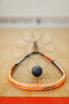 Squash racket and ball on court floor closeup, nobody. Active sport hobby, fitness workout for healthy lifestyle