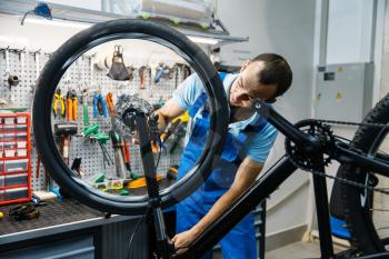 Bicycle repair in workshop, man setting up a brake. Mechanic in uniform fix problems with cycle, professional bike repairing service