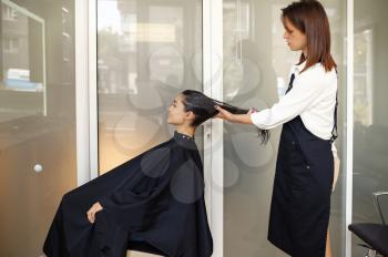 Hairdresser holds woman's hair, hairdressing salon. Stylist and client in hairsalon. Beauty business, professional service