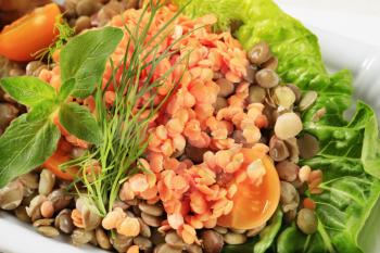 Vegetarian dish of brown and red lentils