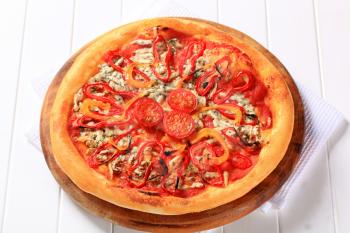 Fresh baked blue cheese pizza with sliced peppers and tomatoes on top