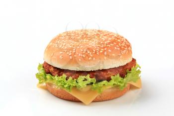 Closeup of a cheeseburger - studio shot