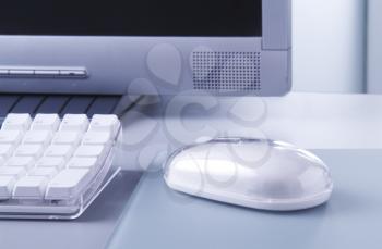 Computer mouse, keyboard and monitor
