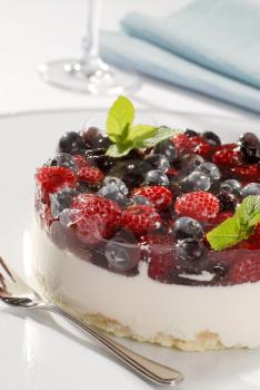 Cheesecake Topped with Forest Fruit 