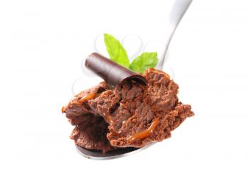 Chocolate fudge ice cream on spoon