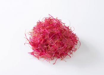 Raw food - Red beet sprouts