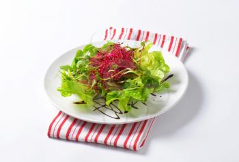 Mixed green salad with pea and beetroot sprouts