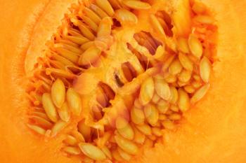 detail of cantaloupe melon - cross section