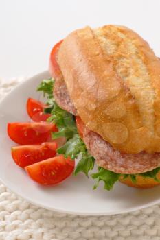 crusty roll sandwich with salami on white plate