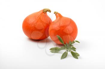 two orange pumpkins and sprig of sage on white background