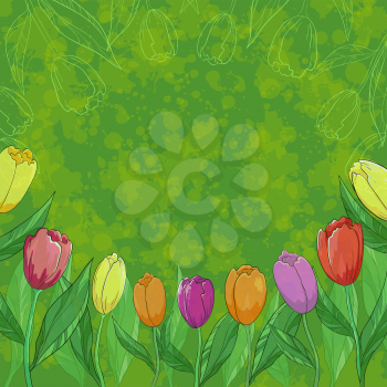 Tulips flowers, leafs and contours on abstract green background. Vector eps10, contains transparencies