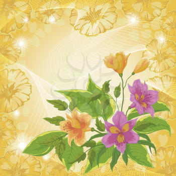 Floral pattern, colorful flowers alstroemeria and frame of contours flowers ipomoea on abstract background. Eps10, contains transparencies. Vector