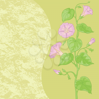 Floral pattern, flowers Ipomoea and abstract background. Vector