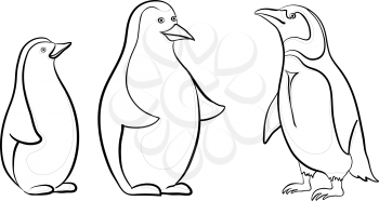 Antarctic emperor penguins, black contours on white background. Vector