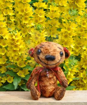 Handmade, the sewed plush toy: Teddy-bear Niusia weirdo on a board among flowers