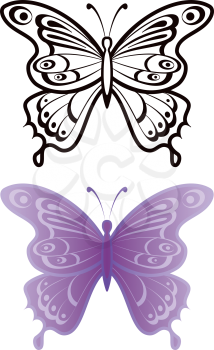 Butterflies with open wings, black contour and monochrome lilac, isolated on white background. Vector