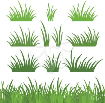 Line seamless and set of fresh green grass, element for design, isolated on white background. Vector