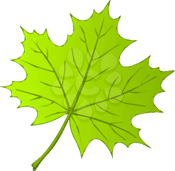 Summer Maple Leaf Isolated Nature Symbol, Polygonal Low Poly Design. Vector