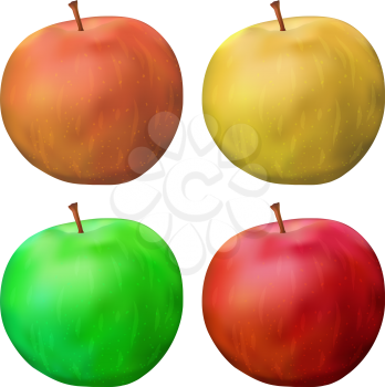 Apple set, summer fruit, isolated, eps10, contains transparencies. Vector