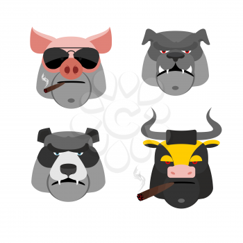 Set of angry animals. Head of a Pig and bull. Bad Bear and Bulldog. Vector illustration
