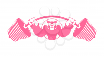 Angry pig athlete. Barbell and Aggressive big boar. Evil wild animal bodybuilder. logo for sports team
