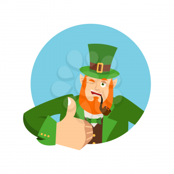 Happy St.Patrick 's Day. Leprechaun winks. Dwarf with red beard thumbs up. Irish elf emotions. Holiday in Ireland
