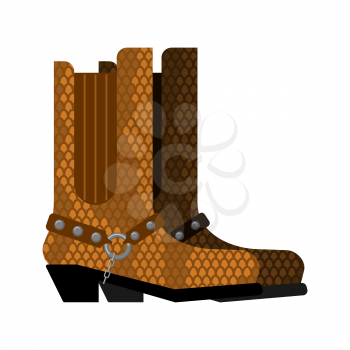 Cowboy boots made python leather. Australia shoes made crocodile skin 