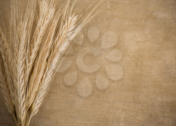 wheat border spike on wood texture background
