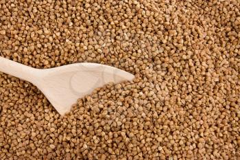buckwheat seed and wood spoon as background