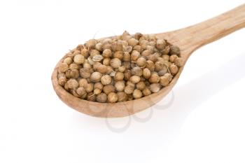Coriander spices in spoon isolated on white background