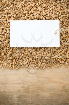 wheat grain and tag price on wood background