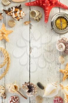 seashell  on wooden background texture