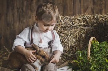 Portrait of baby rabbit among white and hay boxes.