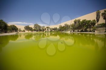  Oasis surrounded by sand dunes near Ica Peru