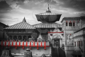 Freely walk monkey. Votive temples and shrines in a row at Pashupatinath Temple, Kathmandu, Nepal. black and white photography