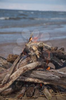 A bonfire burns in a camping in a forest by the sea.