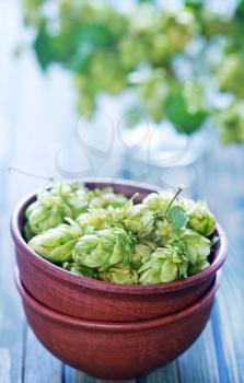 fresh hop in bowl and on a table