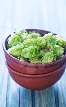 fresh hop in bowl and on a table